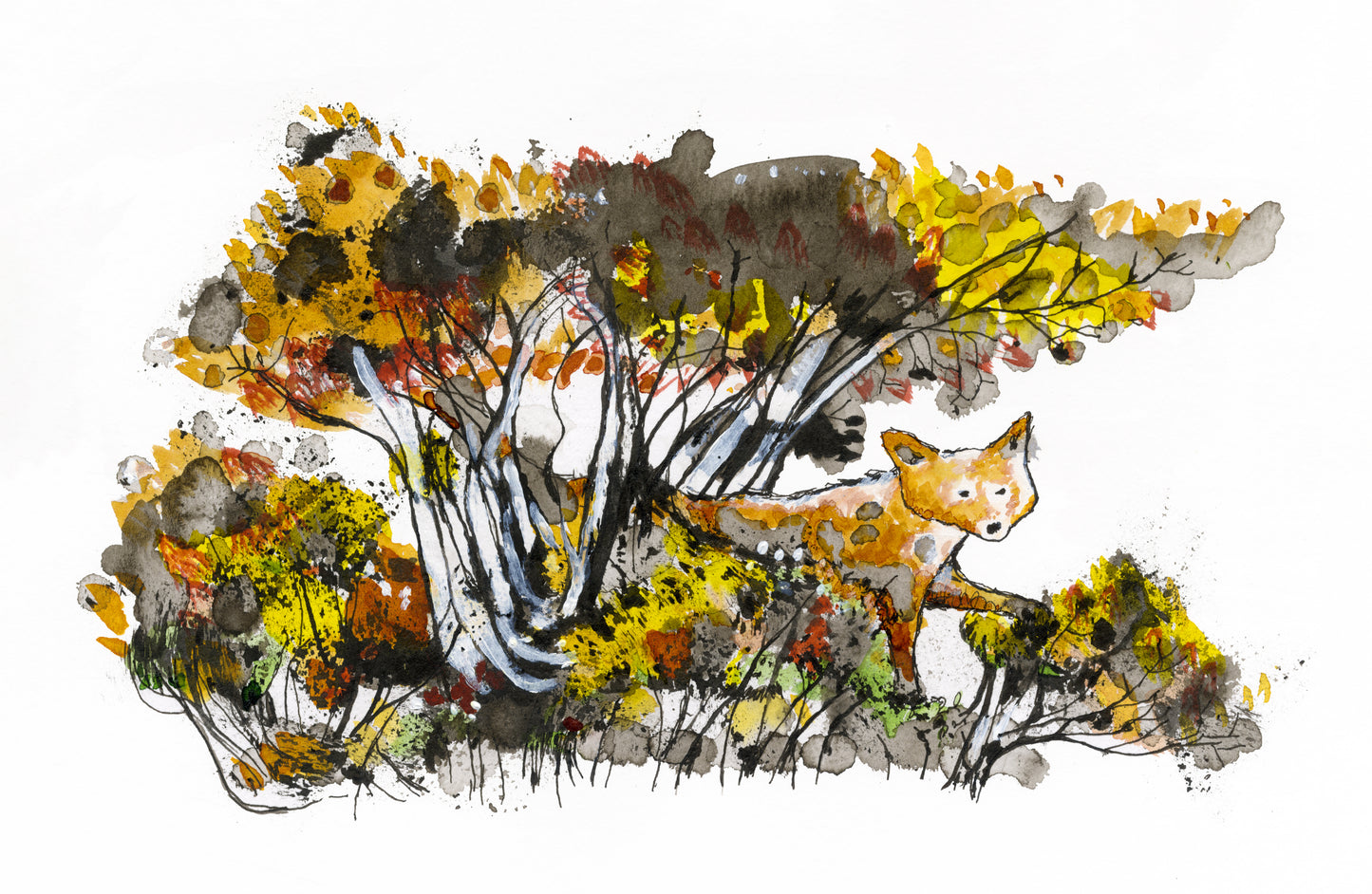 Autumn fox limited edition print