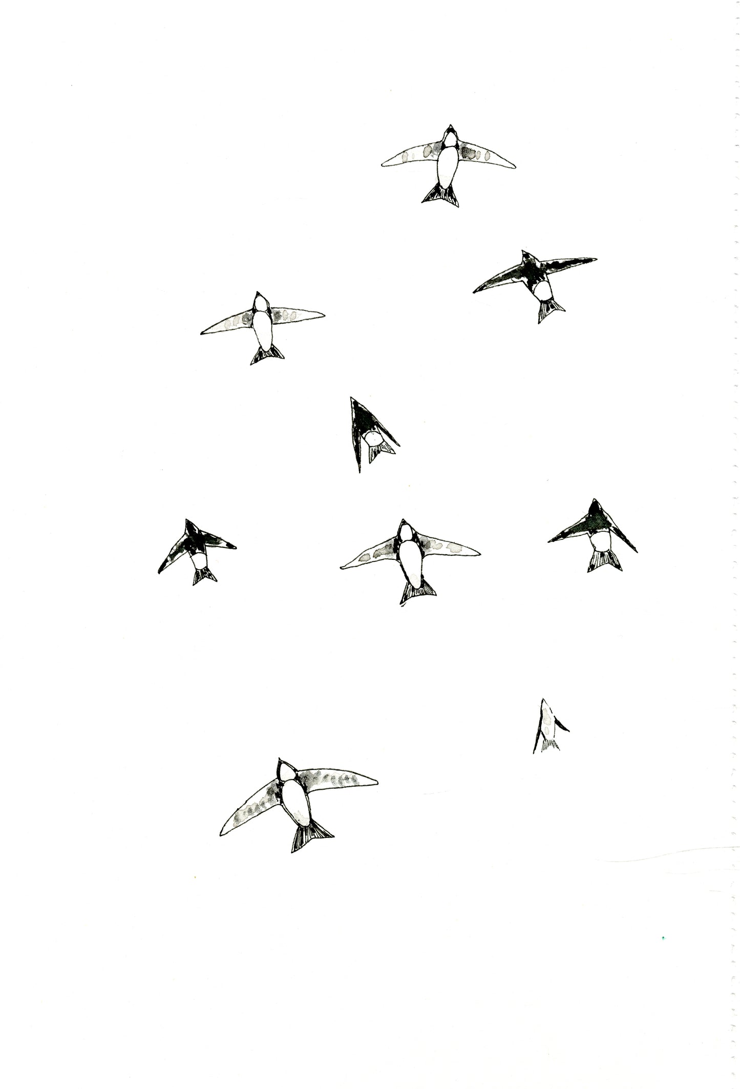 House martins greeting card