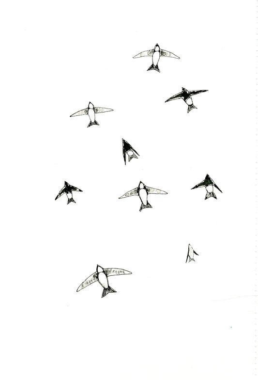 House martins greeting card